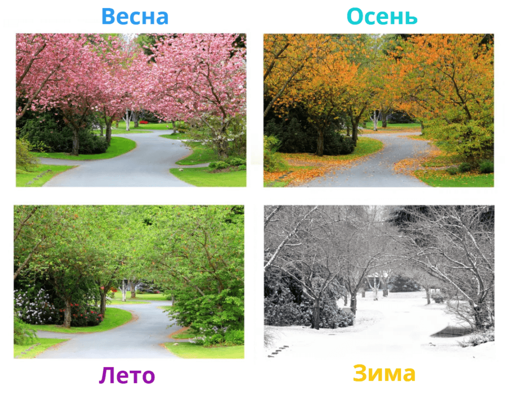 Парк в разные сезоны: весна, лето, осень, зима